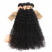 Curly Wave Hair Bundles