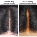 6*6 Fake Scalp Wigs
