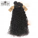 Malaysian Hair Bundles 4pcs Hair